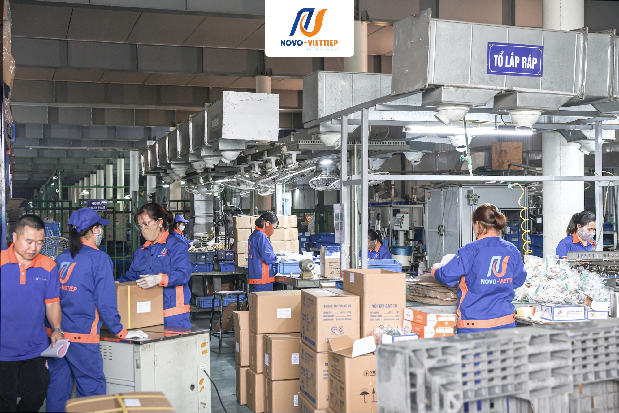 Khí Thế Sản Xuất Sôi Động Trong Tháng Đầu Năm 2026 Tại NOVO-Việt Tiệp